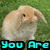 A four- of pixelated bunny images with cyan text overlays reading 'You Are The Best'