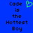 Blue background with black pixelated text reading 'Code is the Hottest Boy' and a green heart-shaped icon above the right side of the text.