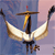 A stylized bird with outstretched wings, a golden beak, and a red-tipped tail perched on a dark stand against a blue and pink gradient background.
