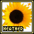 iconhell_bluexaries_heather
