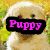A four- shows a dog in different poses with text overlays: 'Puppy' on a yellow background, 'Pawz' on green, 'Roxs!!!' on water, and a blank
