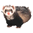 Pixelated ferret with light brown face, dark eyes, pink nose, and black body standing against gray background.