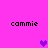Pixelated text 'cammie' appears in four corners of a bright pink background with three purple heart icons in a pattern