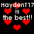 Pixelated red hearts float over repeated text reading 'HaydenT17 is the best!!' on a black background.