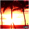 Sunset scene with palm trees silhouetted against orange and yellow sky, text 'LOVE' in white on black bar at bottom.