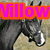 A four- displays horses with overlaid text: 'Millow' top-left, 'Farm' top-right, and partial '4 Eva' bottom-left. The right is empty gray