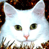 Animated contact sheet showing two white cats with green eyes and pink noses against a brown patterned background, alongside a blue section containing pixelated text reading 'CoolBuddy.com' on a teal backdrop.