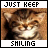 A 4-frame animated contact sheet showing a pixelated cat's face with changing text above and below it, each frame in a 2x2 grid layout.