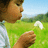 A child in a white shirt blows dandelion seeds against a green field and blue sky background, with repeated 'Caroline' text on cyan.