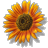 Static pixelated sunflower icon with orange and yellow petals surrounding a dark brown center on a gray background.