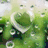 Animated green heart-shaped icon with water droplets on a blurred background, transitioning to black screen text and rainbow dinosaur.