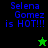 Pixelated text reads "Selena Gomez is HOT!!!" with a green star and black star in different frames.