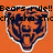 Orange background with three identical tiger head icons and repeated text 'Bears rule!! cha cha cha' in black pixelated font.