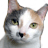 Pixelated close-up of a cat's face with mixed gray, white, and tan fur, green eyes, black nose, and upright ears against a plain background.
