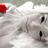 A pixelated image shows a white dog-like figure with black eyes and a red nose, partially visible against a light gray background.