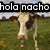 A pixelated cow in a grassy field with text overlays changing across frames.