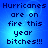 Blue pixelated text on a blue gradient background reads 'Hurricanes are on fire this year bitches!!!' with visible pixelation and slight color variation across four identical
