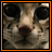 Doll Buddie Icons
