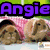 Purple text 'Angie' appears over four showing brown rabbits in various settings with a pink blanket and green background