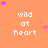 Orange background with repeated white text "wild at heart" and pink star symbols in various positions.