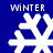 Four white snowflake icons on a blue background with 'WINTER' text above each, showing pixelated variations in shape and size across observations.