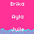 Pixelated text labels 'Erika', 'Ayla', and 'Juile' appear in a on pink background with blue wave pattern, some partially obscured by gray area