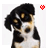 Pixelated dog with black and tan fur, dark eyes, a red heart symbol in the top-right corner.