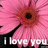 A pixelated pink flower with a brown center and black stem, overlaid with white text reading "I love you" on a black background.