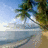 A four- beach scene with palm trees and ocean, featuring text overlays that change