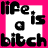 iconhell_gorgeousdivachic_LifeIsaBitchIcon
