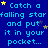 Blue background with repeated cyan text 'Catch a falling star and put it in your pocket...' and scattered yellow and purple stars.