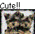Pixelated icon with 'Cute!!' text above a colorful, abstract pattern of small squares in various hues.