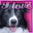 iconhell_bapity88_bordercollie