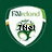Three shield-shaped icons with green and white color scheme display different names over a green background.