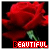 iconhell_suqababii_26