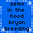 Blue background with white dashed border and star patterns, displaying repeated text in black pixelated font.
