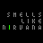 Pixelated text displays 'SHELLS LIKE' above repeating 'NIRVANA' with green letter highlights shifting across frames.