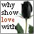 A 4-frame animated contact sheet showing a black rose with green leaves and stem, paired with pixelated text that changes across frames to form the phrase "why show love with a rose when they die soon after you buy them?".