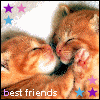 Two orange tabby kittens nuzzle each other with closed eyes, surrounded by colored stars and 'best friends' text.