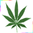 iconhell_caitjane1_marijuana