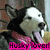 A pixelated dog with black and white fur, pink collar, and tongue out appears in three ; text below changes from 'Husky lover!' to 'Iggy lover!' then 'awww' with a smiley