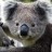 Pixelated close-up of a koala's face with dark ears, small eyes, and a rounded nose against blurred foliage.
