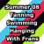 Pixelated static image with bold text reading 'Summer 08' and 'Training System Hurling South Africa' over a background of diagonal green, blue, red, black, and white stripes.