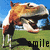A pixelated cartoon character with orange and white fur, black limbs, and a wide open mouth stands on green grass under a blue sky, with the word 'smile' below.