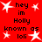 Red background with white star shapes and black text reading 'hey im Holly known as loli' arranged in a pattern