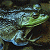 Pixelated frog with open mouth and raised tongue on dark textured background, next to green with bright green text