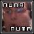 Pixelated square image with 'NUMA' text in blocky white letters at top and bottom, framed by black border on a blurred background.