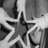 Black-and-white animated icon shows a figure with long hair holding a star-shaped object, transitioning to a hand gesture.