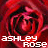 A static image of a red rose with white text reading 'ashley ROSE' at the bottom, displayed in two identical side-by-side