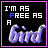 iconhell_meagatronbomb_freebird